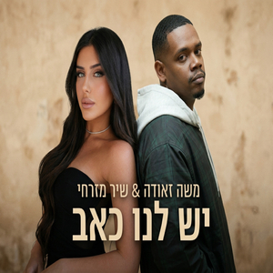 יש לנו כאב