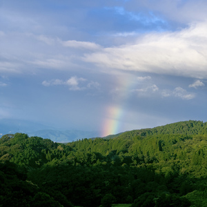 あっけなく儚く