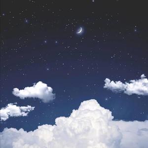 多肉少女（翻自 赵芷彤）