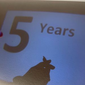 知道爱你多的多-小9Vic