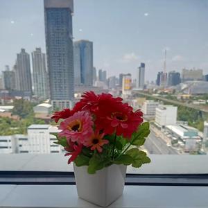 冰天雪地尽头的一朵花