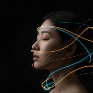 새벽 안개가 걷히는 숲의 아침