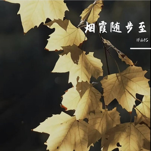云淡月从容