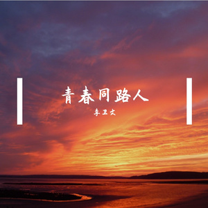 青春同路人