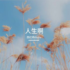 我曾经爱过你