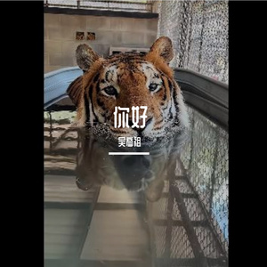 枪挑了汉营中数上将