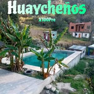 Agüita de Putina / Esos Tus Ojos / Labios Mentirosos / Clavelito / Mañana Cuando Me Vaya / La Rosa (Live)