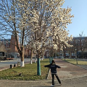 无声较量