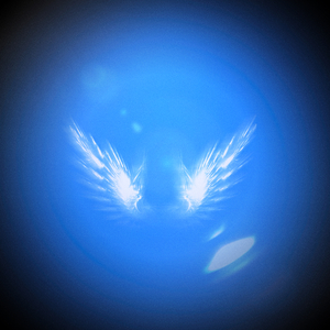 碎羽指南（Shattered Feather Guide）.wav