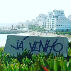 Sucessos E Fracassos