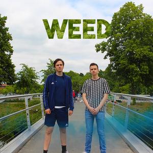 WEED