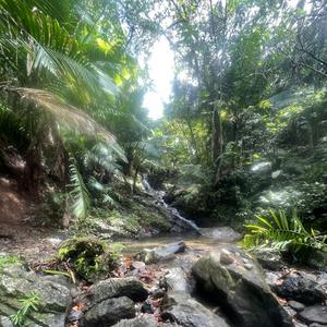 No Dream is iMpossible