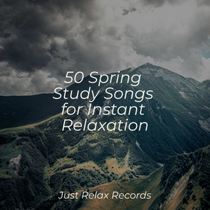 Concrete Lullaby for Stormy Nights