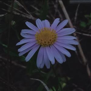 留（prod.jackeymakingmoney）