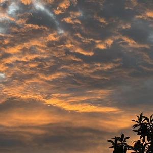 BUSCAS EL SOL