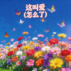 这叫爱