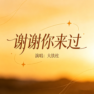 谢谢你来过（伴奏）