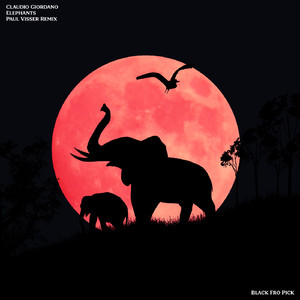 Elephants (Paul Visser Remix)