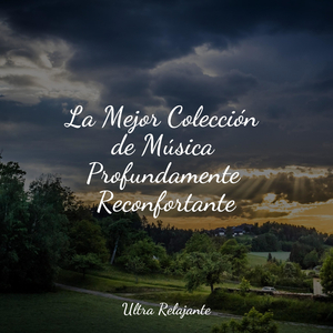 Incluso Es La Niebla