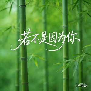 若不是因为你（抖音飙升版）