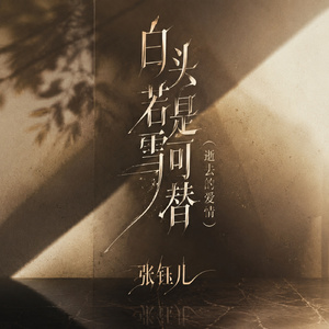 白头若是雪可替(逝去的爱情)