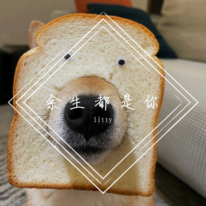 litty-余生都是你（litty remix）