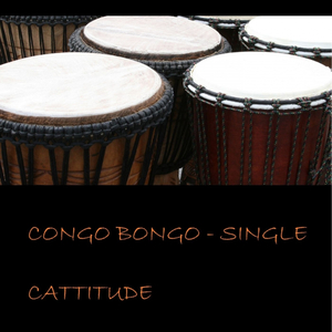 Congo Bongo (Original Mix)