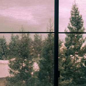 Petals Of The Atmosphere