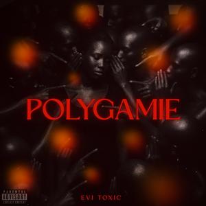 POLYGAMIE