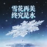 雪花再美终究是水