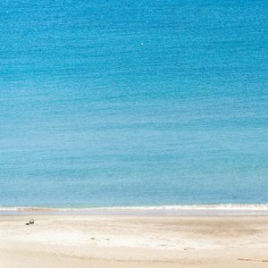 海风吹动立夏