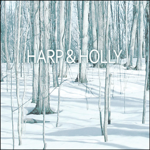 God Rest Ye Merry Medley: Scottiche / Julia Delaney / God Rest Ye Merry Gentlemen