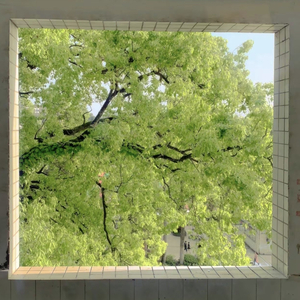 轻轻的夏天（温柔男声版）