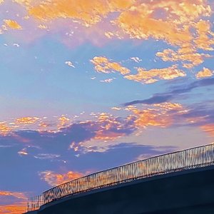 不内耗，摆烂又何妨