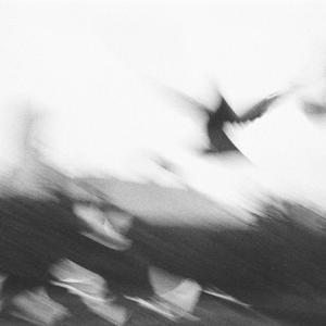 不要浪费时间，战士