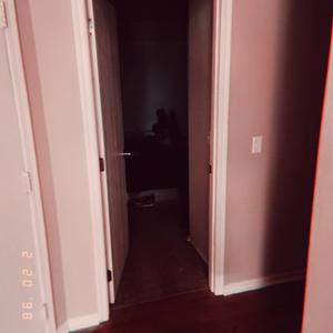 Cohabitate