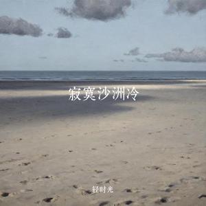 寂寞沙洲冷 (Remix)