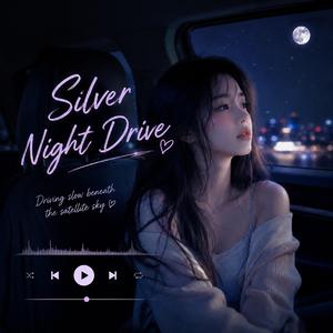 Silver Night Drive