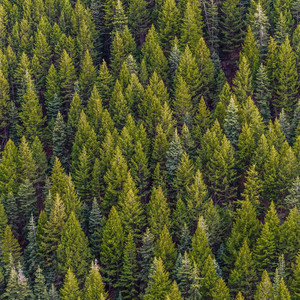 Efficient Lull Music