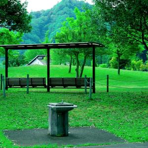 これからどうするの？