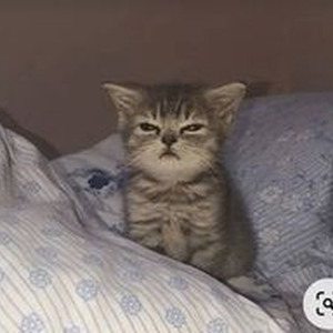 Money Twërk (slowed)