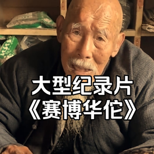 大型纪录片《赛博华佗》