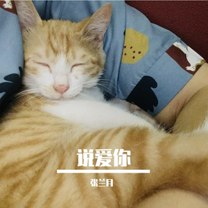 说爱你