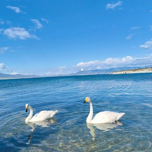 我们（竹笛版1）