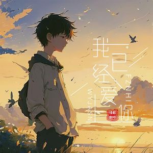 我已经爱上你-翻唱