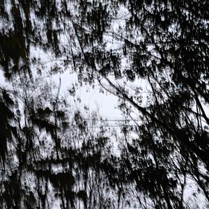 回不去的从前(怀念版)cover周延英