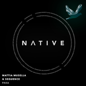 Paka (Dimitris Michas Remix)