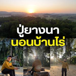 ปู่ยางนา นอนบ้านไร่