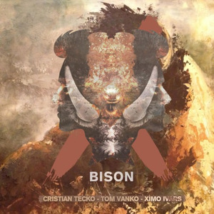 Bison