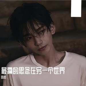 最痛的思念在另一个世界